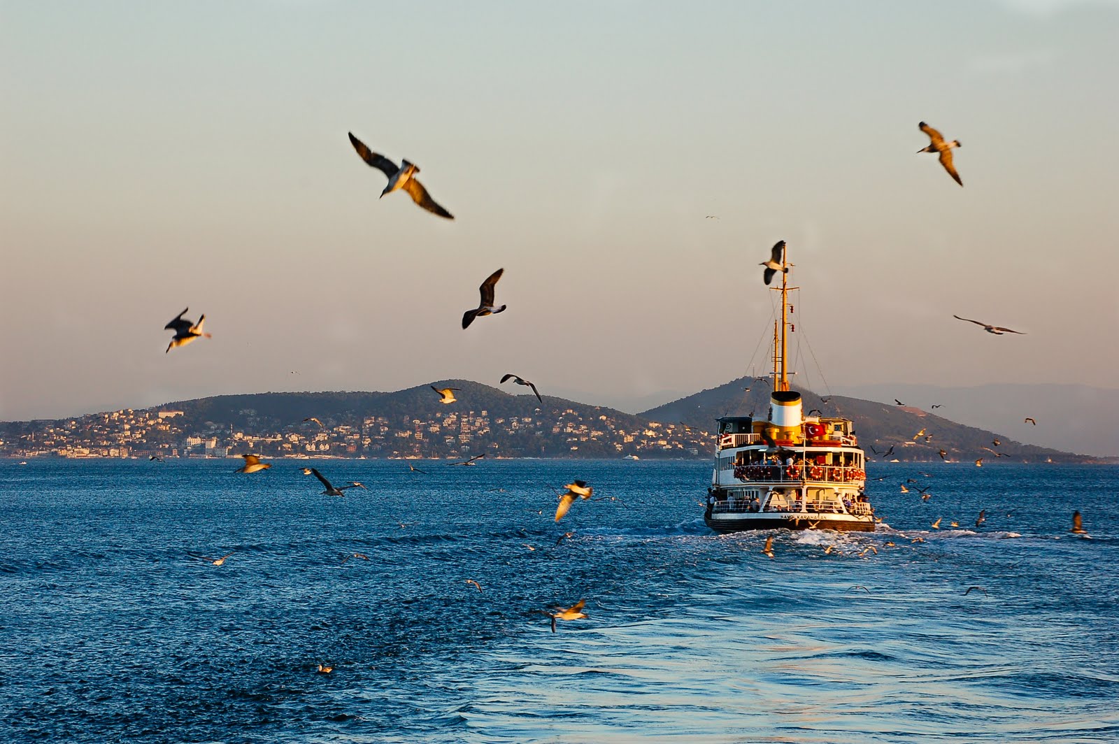 Princess islands. Мраморное море Принцевы острова. Принцевы острова в Стамбуле. Босфор Принцевы острова. Мраморное море Стамбул.